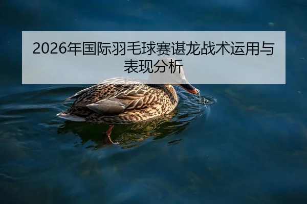 2026年国际羽毛球赛谌龙战术运用与表现分析