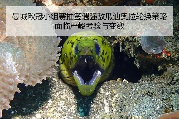 man-cheng-ou-guan-xiao-zu-sai-chou-qian-yu-qiang-di-gua-di-ao-la-lun-huan-ce-lve-mian-lin-yan-jun-kao-yan-yu-bian-shu-2-505.jpg