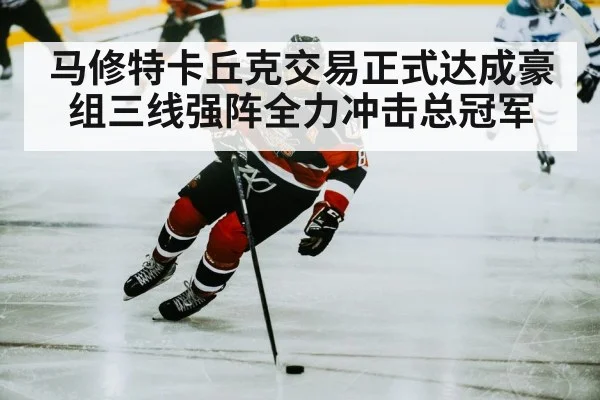 马修特卡丘克交易正式达成豪组三线强阵全力冲击总冠军